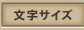 文字サイズ